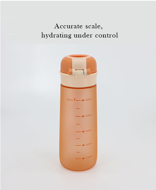 High Quality BPA-Free Custom Logo Tritan Plastic Water Bottle with Plastic Handle