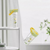 900ml BPA-Free Lemon Fruit Infuser Plastic Water Bottles with Long Filter for Presents