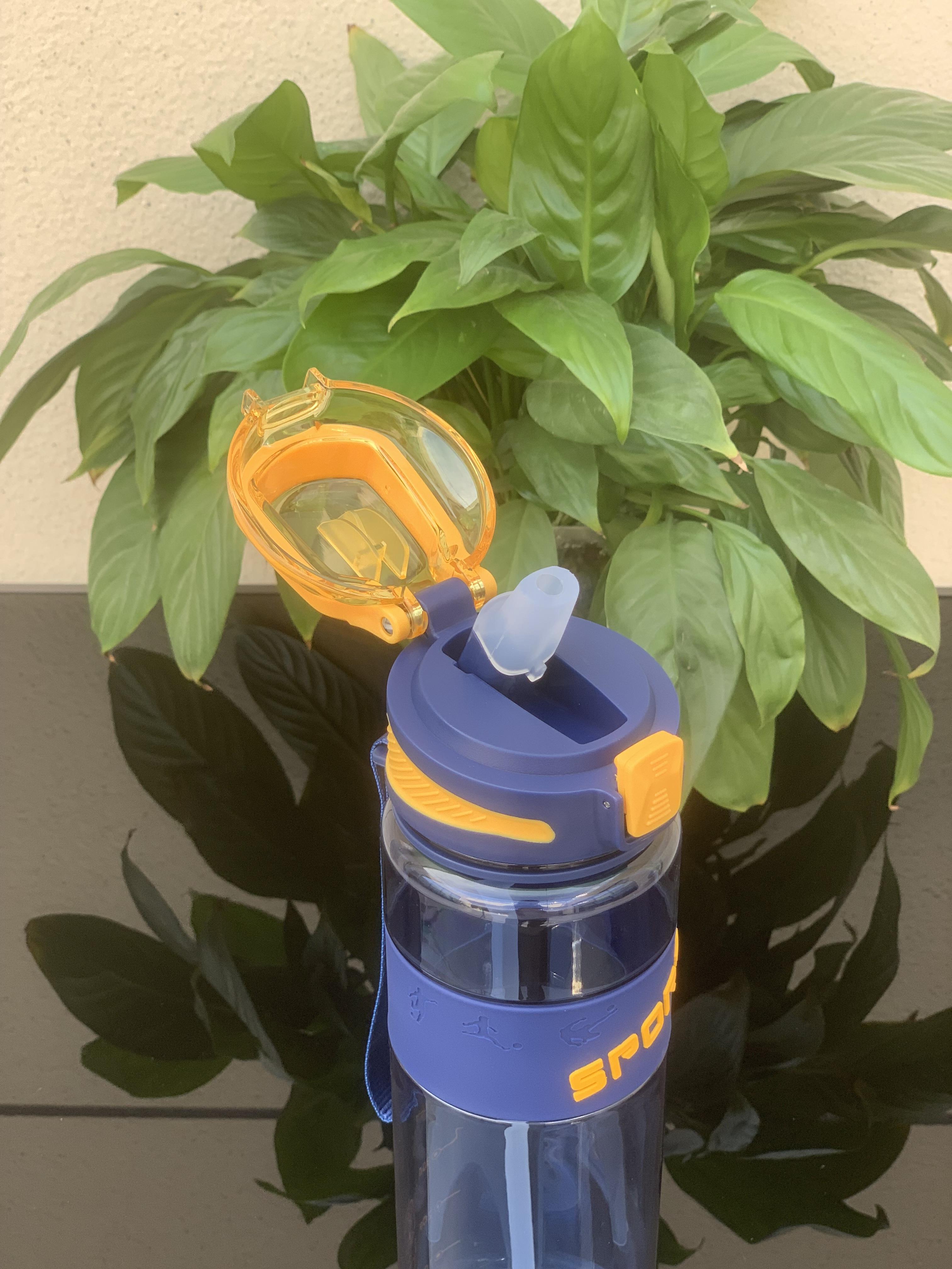 Factory Custom BPA-Free 28oz 32oz Sport Water Bottles Leakproof Lid with Straw for Presents